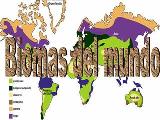 Biomas del mundo 