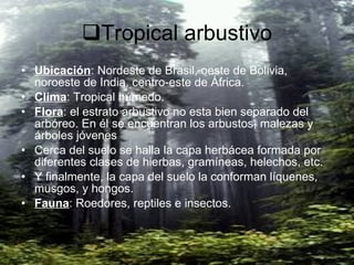 Tropical arbustivo Ubicación : Nordeste de Brasil, oeste de Bolivia, noroeste de India, centro-este de África. Clima : Tropical húmedo.  Flora : el estrato arbustivo no esta bien separado del arbóreo. En él se encuentran los arbustos, malezas y árboles jóvenes Cerca del suelo se halla la capa herbácea formada por diferentes clases de hierbas, gramíneas, helechos, etc.  Y finalmente, la capa del suelo la conforman líquenes, musgos, y hongos. Fauna : Roedores, reptiles e insectos.  