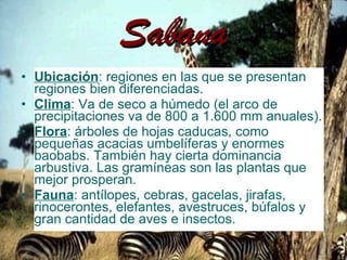 Sabana Ubicación : regiones en las que se presentan regiones bien diferenciadas. Clima : Va de seco a húmedo (el arco de precipitaciones va de 800 a 1.600 mm anuales). Flora : árboles de hojas caducas, como pequeñas acacias umbelíferas y enormes baobabs. También hay cierta dominancia arbustiva. Las gramíneas son las plantas que mejor prosperan. Fauna : antílopes, cebras, gacelas, jirafas, rinocerontes, elefantes, avestruces, búfalos y gran cantidad de aves e insectos. 