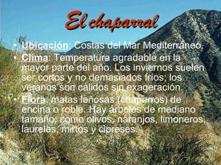 El   chaparral Ubicación : Costas del Mar Mediterráneo. Clima : Temperatura agradable en la mayor parte del año. Los inviernos suelen ser cortos y no demasiados fríos; los veranos son cálidos sin exageración. Flora : matas leñosas (chaparros) de encina o roble. Hay árboles de mediano tamaño, como olivos, naranjos, limoneros, laureles, mirtos y cipreses.  