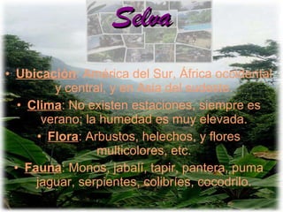 Selva Ubicación : América del Sur, África occidental y central, y en Asia del sudeste. Clima : No existen estaciones, siempre es verano; la humedad es muy elevada. Flora : Arbustos, helechos, y flores multicolores, etc. Fauna : Monos, jabalí, tapir, pantera, puma jaguar, serpientes, colibríes, cocodrilo. 