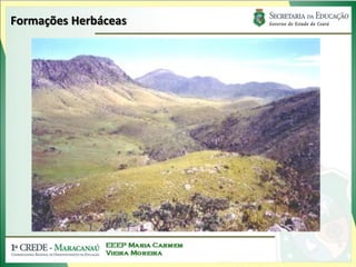 Formações Herbáceas
 