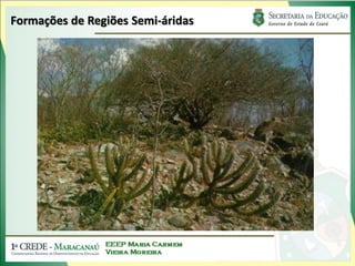 Formações de Regiões Semi-áridas
 