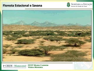 Floresta Estacional e Savana
 