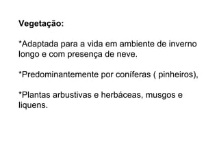 Vegetação:

*Adaptada para a vida em ambiente de inverno
longo e com presença de neve.

*Predominantemente por coníferas ( pinheiros),

*Plantas arbustivas e herbáceas, musgos e
liquens.
 