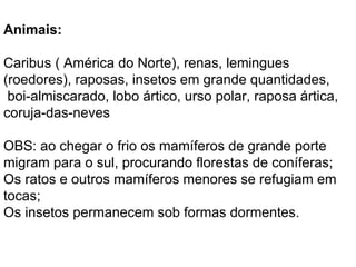 Animais:

Caribus ( América do Norte), renas, lemingues
(roedores), raposas, insetos em grande quantidades,
 boi-almiscarado, lobo ártico, urso polar, raposa ártica,
coruja-das-neves

OBS: ao chegar o frio os mamíferos de grande porte
migram para o sul, procurando florestas de coníferas;
Os ratos e outros mamíferos menores se refugiam em
tocas;
Os insetos permanecem sob formas dormentes.
 