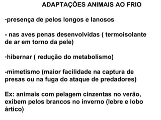 ADAPTAÇÔES ANIMAIS AO FRIO

-presença de pelos longos e lanosos

- nas aves penas desenvolvidas ( termoisolante
de ar em torno da pele)

-hibernar ( redução do metabolismo)

-mimetismo (maior facilidade na captura de
presas ou na fuga do ataque de predadores)

Ex: animais com pelagem cinzentas no verão,
exibem pelos brancos no inverno (lebre e lobo
ártico)
 