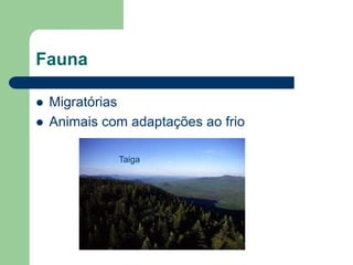 Fauna

   Migratórias
   Animais com adaptações ao frio

              Taiga
 