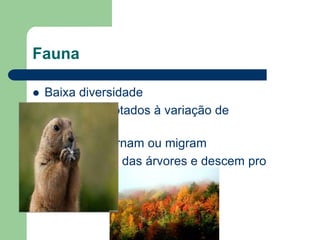 Fauna

   Baixa diversidade
   Animais adaptados à variação de
    temperatura.
   Animais hibernam ou migram
   Insetos saem das árvores e descem pro
    solo.
 
