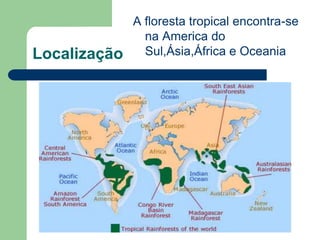 A floresta tropical encontra-se
                na America do
Localização     Sul,Ásia,África e Oceania
 