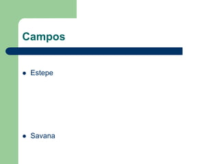Campos


   Estepe




   Savana
 