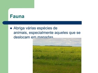 Fauna

   Abriga várias espécies de
    animais, especialmente aqueles que se
    deslocam em manadas.
 