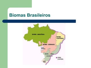 Biomas Brasileiros
 