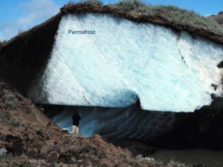 Permafrost
 
