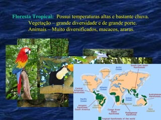 Floresta Tropical: Possui temperaturas altas e bastante chuva.
       Vegetação – grande diversidade e de grande porte.
       Animais – Muito diversificados, macacos, araras.
 