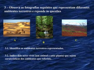 3 – Observa as fotografias seguintes que representam diferentes
ambientes terrestres e reponde às questões




        A                                                     C
                                  B

3.1. Identifica os ambientes terrestres representados.

3.2. Indica dois seres vivos (um animal e uma planta) que sejam
caraterísticos dos ambientes que referiste.
 