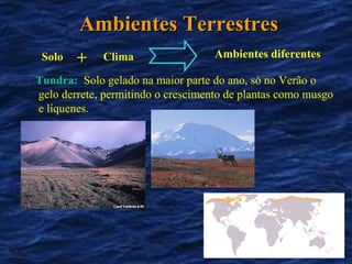 Ambientes Terrestres
                                    Ambientes diferentes
 Solo   +    Clima

Tundra: Solo gelado na maior parte do ano, só no Verão o
gelo derrete, permitindo o crescimento de plantas como musgo
e líquenes.
 