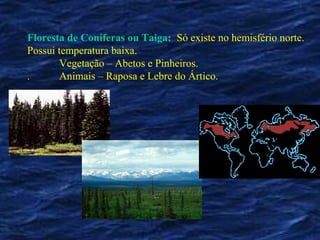 Floresta de Coníferas ou Taiga: Só existe no hemisfério norte.
Possui temperatura baixa.
       Vegetação – Abetos e Pinheiros.
.      Animais – Raposa e Lebre do Ártico.
 