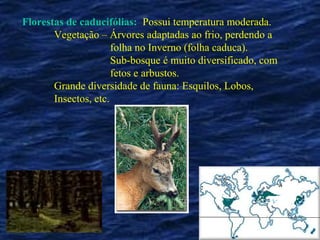 Florestas de caducifólias: Possui temperatura moderada.
       Vegetação – Árvores adaptadas ao frio, perdendo a
                      folha no Inverno (folha caduca).
                      Sub-bosque é muito diversificado, com
                      fetos e arbustos.
       Grande diversidade de fauna: Esquilos, Lobos,
       Insectos, etc.
 