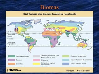 Biomas
 