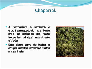 Chaparral. A temperatura é moderada e encontram-se perto do litoral. Neste meio os incêndios são muito frequentes  principalmente durante o Verão. Este bioma serve de habitat a corujas, insectos, mochos e muitos mais animais 
