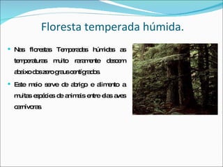 Floresta temperada húmida. Nas florestas Temperadas húmidas as temperaturas muito raramente descem abaixo dos zero graus centígrados. Este meio serve de abrigo e alimento a muitas espécies de animais entre elas aves carnívoras. 