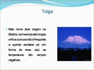 Taiga Este nome teve origem na Sibéria; os Invernos são longos e frios a chuva não é frequente e quando acontece cai em forma de neve, aqui as temperaturas são sempre negativas. 