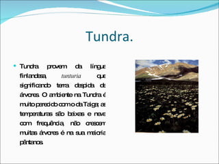 Tundra. Tundra provem da língua finlandesa,  tunturia  que significando terra despida de árvores. O ambiente na Tundra é muito parecido com o da Taiga; as temperaturas são baixas e neva com frequência, não crescem muitas árvores é na sua maioria pântanos.  