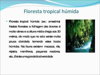 Floresta tropical húmida Floresta tropical húmida. (ex.: amazónia) Nestas florestas a folhagem das árvores é muito densa e a altura média chega aos 30 metros, do modo que no solo existe muita pouca claridade; tornando estes locais húmidos. Na fauna existem: macacos, rãs, répteis, mamíferos, pequenos roedores, etc...Existe uma grande biodiversidade.  