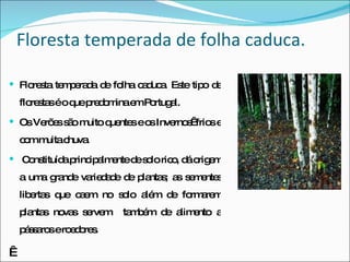 Floresta temperada de folha caduca. Floresta temperada de folha caduca. Este tipo de florestas é o que predomina em Portugal.  Os Verões são muito quentes e os Invernos  frios e com muita chuva. Constituída principalmente de solo rico, dá origem a uma grande variedade de plantas; as sementes libertas que caem no solo além de formarem plantas novas servem  também de alimento a pássaros e roedores.   