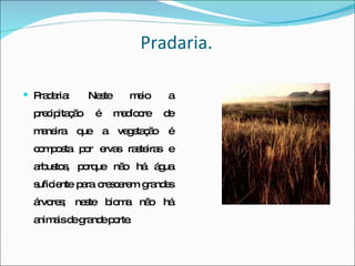 Pradaria. Pradaria: Neste meio a precipitação é medíocre de maneira que a vegetação é composta por ervas rasteiras e arbustos, porque não há água suficiente para crescerem grandes árvores; neste bioma não há animais de grande porte. 