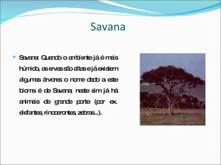 Savana Savana: Quando o ambiente já é mais húmido, as ervas são altas e já existem algumas árvores o nome dado a este bioma é de Savana; neste sim já há animais de grande porte (por ex. elefantes, rinocerontes, zebras...). 