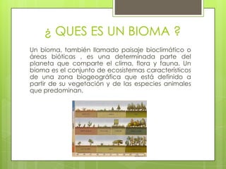 ¿ QUES ES UN BIOMA ?
Un bioma, también llamado paisaje bioclimático o
áreas bióticas , es una determinada parte del
planeta que comparte el clima, flora y fauna. Un
bioma es el conjunto de ecosistemas característicos
de una zona biogeográfica que está definido a
partir de su vegetación y de las especies animales
que predominan.
 