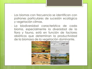 -   Los biomas con frecuencia se identifican con
    patrones particulares de sucesión ecológica
    y vegetación clímax.
-   La biodiversidad característica de cada
    bioma, especialmente la diversidad de la
    flora y fauna, está en función de factores
    abióticos que determinan la productividad
    de la biomasa de la vegetación dominante.
 