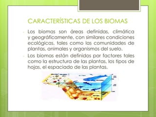 CARACTERÍSTICAS DE LOS BIOMAS
-   Los biomas son áreas definidas, climática
    y geográficamente, con similares condiciones
    ecológicas, tales como las comunidades de
    plantas, animales y organismos del suelo.
-   Los biomas están definidos por factores tales
    como la estructura de las plantas, los tipos de
    hojas, el espaciado de las plantas.
 