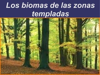 Los biomas de las zonas
       templadas
 