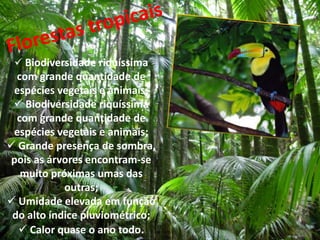  Biodiversidade riquíssima
  com grande quantidade de
 espécies vegetais e animais;
  Biodiversidade riquíssima
  com grande quantidade de
 espécies vegetais e animais;
 Grande presença de sombra,
pois as árvores encontram-se
   muito próximas umas das
            outras;
 Umidade elevada em função
 do alto índice pluviométrico;
   Calor quase o ano todo.
 