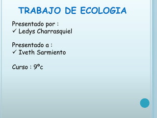 TRABAJO DE ECOLOGIA
Presentado por :
 Ledys Charrasquiel

Presentado a :
 Iveth Sarmiento

Curso : 9ºc
 