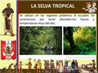 LA SELVA TROPICAL
Se ubican en las regiones próximas al ecuador. Se
caracterizan por tener abundan-tes lluvias y
temperaturas muy cáli-das.
 