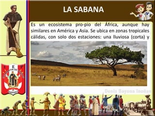 LA SABANA
Es un ecosistema pro-pio del África, aunque hay
similares en América y Asia. Se ubica en zonas tropicales
cálidas, con solo dos estaciones: una lluviosa (corta) y
otra seca.
 