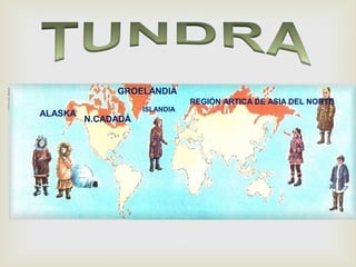 N.CADADÁ
GROELANDIA
ALASKA
ISLANDIA
REGIÓN ARTICA DE ASIA DEL NORTE
 