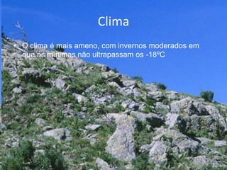 Clima
• O clima é mais ameno, com invernos moderados em
que as mínimas não ultrapassam os -18ºC
 