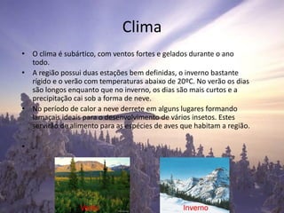 Clima
• O clima é subártico, com ventos fortes e gelados durante o ano
todo.
• A região possui duas estações bem definidas, o inverno bastante
rígido e o verão com temperaturas abaixo de 20ºC. No verão os dias
são longos enquanto que no inverno, os dias são mais curtos e a
precipitação cai sob a forma de neve.
• No período de calor a neve derrete em alguns lugares formando
lamaçais ideais para o desenvolvimento de vários insetos. Estes
servirão de alimento para as espécies de aves que habitam a região.
• .
 