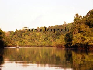 Floresta Temperada
 