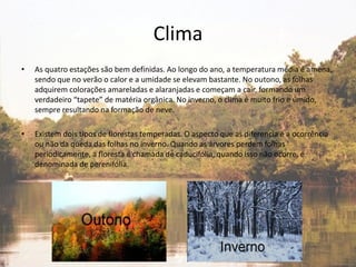 Clima
• As quatro estações são bem definidas. Ao longo do ano, a temperatura média é amena,
sendo que no verão o calor e a umidade se elevam bastante. No outono, as folhas
adquirem colorações amareladas e alaranjadas e começam a cair, formando um
verdadeiro “tapete” de matéria orgânica. No inverno, o clima é muito frio e úmido,
sempre resultando na formação de neve.
• Existem dois tipos de florestas temperadas. O aspecto que as diferencia é a ocorrência
ou não da queda das folhas no inverno. Quando as árvores perdem folhas
periodicamente, a floresta é chamada de caducifólia, quando isso não ocorre, é
denominada de perenifólia.
 