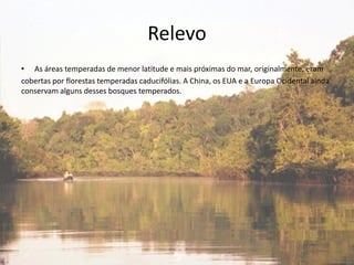 Relevo
• As áreas temperadas de menor latitude e mais próximas do mar, originalmente, eram
cobertas por florestas temperadas caducifólias. A China, os EUA e a Europa Ocidental ainda
conservam alguns desses bosques temperados.
 