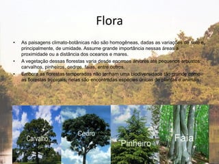 Flora
• As paisagens climato-botânicas não são homogêneas, dadas as variações de solo e,
principalmente, de umidade. Assume grande importância nessas áreas a
proximidade ou a distância dos oceanos e mares.
• A vegetação dessas florestas varia desde enormes árvores até pequenos arbustos:
carvalhos, pinheiros, cedros, faias, entre outros.
• Embora as florestas temperadas não tenham uma biodiversidade tão grande como
as florestas tropicais, nelas são encontradas espécies únicas de plantas e animais.
 