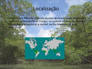 Localização
• As principias florestas tropicais pluviais do mundo estão localizadas
na África central(Bacia do Congo), no sudeste da Ásia, na América
do sul(Bacia Amazônica) e central, na ilha Madagascar e na
Indonésia.
 