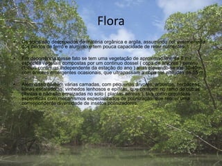 Flora
• Os solos são desprovidos de matéria orgânica e argila, assumindo cor avermelhada
dos óxidos de ferro e alumínio e tem pouca capacidade de reter nutrientes.
• Em decorrência desse fato se tem uma vegetação de aproximadamente 8 mil
espécies vegetais compostas por um continuo dossel ( copa de arvores ) perene
(folhas continuas independente da estação do ano ) altas elevando-se até 30-40m,
com árvores emergentes ocasionais, que ultrapassam a copa até altitudes de 55 m.
• Além disso contém várias camadas, com pequenas árvores, arbustos, herbáceas,
lianas escaladoras, vinhedos lenhosos e epífitas, que crescem no ramo de outras
plantas e não são enraizadas no solo ( plantas aéreas ), tais como orquídeas
especificas com mecanismos especializados de polinização, que requer uma
correspondente diversidade de insetos polinizadores..
 