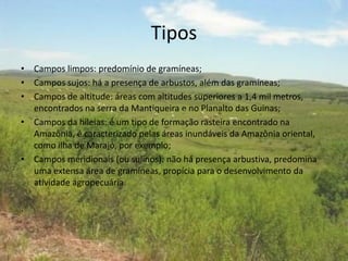 Tipos
• Campos limpos: predomínio de gramíneas;
• Campos sujos: há a presença de arbustos, além das gramíneas;
• Campos de altitude: áreas com altitudes superiores a 1,4 mil metros,
encontrados na serra da Mantiqueira e no Planalto das Guinas;
• Campos da hileias: é um tipo de formação rasteira encontrado na
Amazônia, é caracterizado pelas áreas inundáveis da Amazônia oriental,
como ilha de Marajó, por exemplo;
• Campos meridionais (ou sulinos): não há presença arbustiva, predomina
uma extensa área de gramíneas, propícia para o desenvolvimento da
atividade agropecuária.
.
 